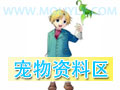 『五转职业区』